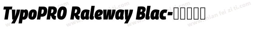 TypoPRO Raleway Blac字体转换